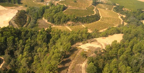 Font de la caña