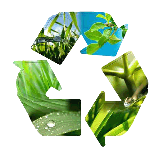 ecologico