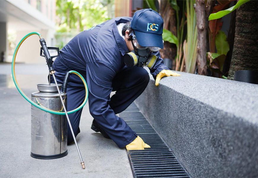 TRATAMIENTOS BIOLÓGICOS PARA EL CONTROL DE PLAGAS